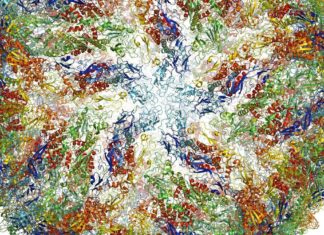 Blobology / Cryo-EM – The ‘New Resolution Revolution’ Transforming Biology Cryo-EM in Biological Research
