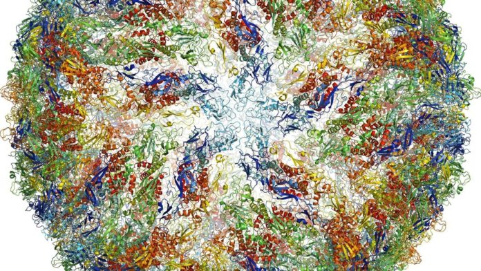 Cryo-EM in Biological Research