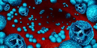 Meet New Evolving Superbug That Thrives On Sugary Western Diets!