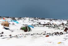 Plastic Found In Arctic