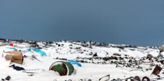 Plastic Found In Arctic