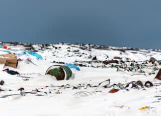 Scientists Find High Levels of Plastic in The Arctic Region! Plastic Found In Arctic