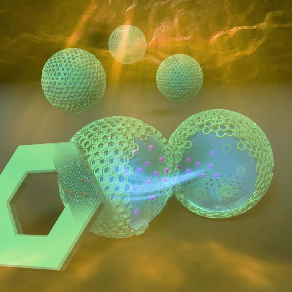 DNA Microcapsules