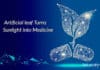 Artificial Leaf That Manufactures Medicines From Sunlight Artificial leaf produces medicines