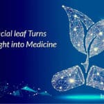 Artificial leaf produces medicines