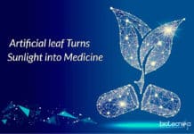 Artificial Leaf That Manufactures Medicines From Sunlight Artificial leaf produces medicines
