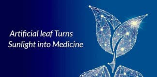 Artificial leaf produces medicines