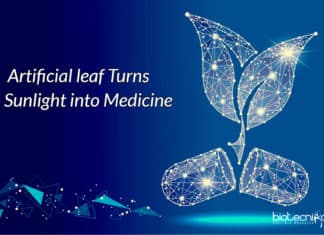 Artificial Leaf That Manufactures Medicines From Sunlight Artificial leaf produces medicines