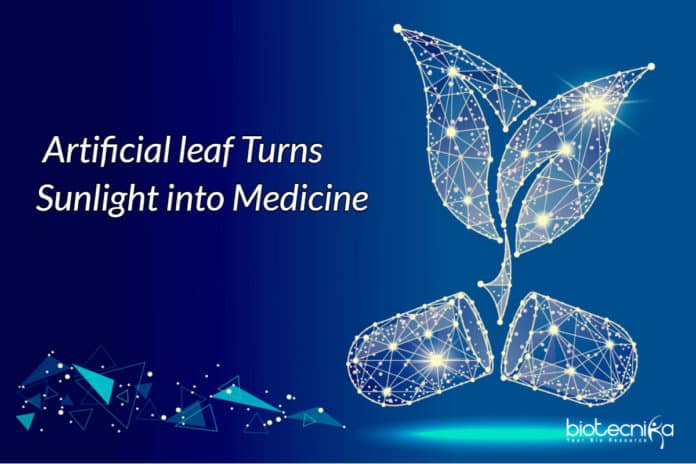 Artificial leaf produces medicines