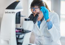 Biological Sciences Research Assistant Post at Bodoland University Biological Sciences Research Assistant