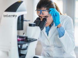 Biological Sciences Research Assistant Post at Bodoland University Biological Sciences Research Assistant