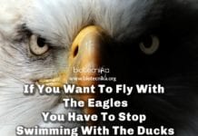 Biotecnika Times – Newsletter 23.09.2019 – Govt CIAB R&D Fellowships, TATA ELXSI Mega