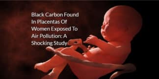 Black Carbon Found In Placentas -Fetal Side - Of Women Exposed To Air Pollution: A Shocking Study