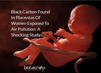 Shocking Study Reveals Presence Of Black Carbon In Placentas Of Women Exposed To Air Pollution Black Carbon Found In Placentas -Fetal Side - Of Women Exposed To Air Pollution: A Shocking Study