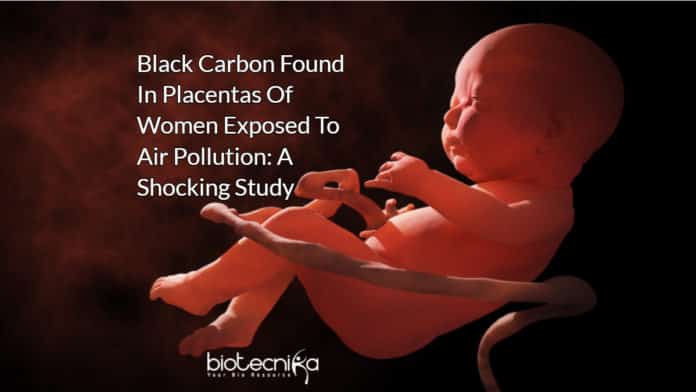 Black Carbon Found In Placentas -Fetal Side - Of Women Exposed To Air Pollution: A Shocking Study