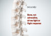 Bone Triggers Fight-or-Flight Response, Not Adrenaline – Unusual Discovery Bones Triggers Fight-or-Flight Response, Not Adrenaline- Bizarre Discovery