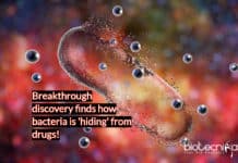 Breakthrough Research – Scientists Discover How Bacteria Are ‘Hiding’ From Drugs Breakthrough in fight against antimicroboial resistance- scientists discover how bacteria is 'hiding' from drugs