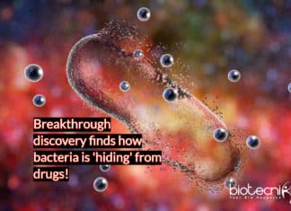 Breakthrough Research – Scientists Discover How Bacteria Are ‘Hiding’ From Drugs Breakthrough in fight against antimicroboial resistance- scientists discover how bacteria is 'hiding' from drugs