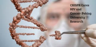 CRISPR Cures HIV and Cancer