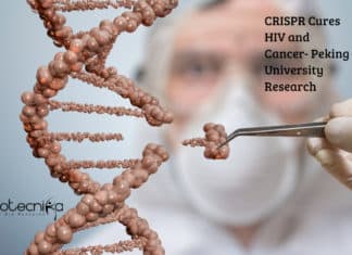 CRISPR Cures HIV and Cancer- Peking University Research CRISPR Cures HIV and Cancer