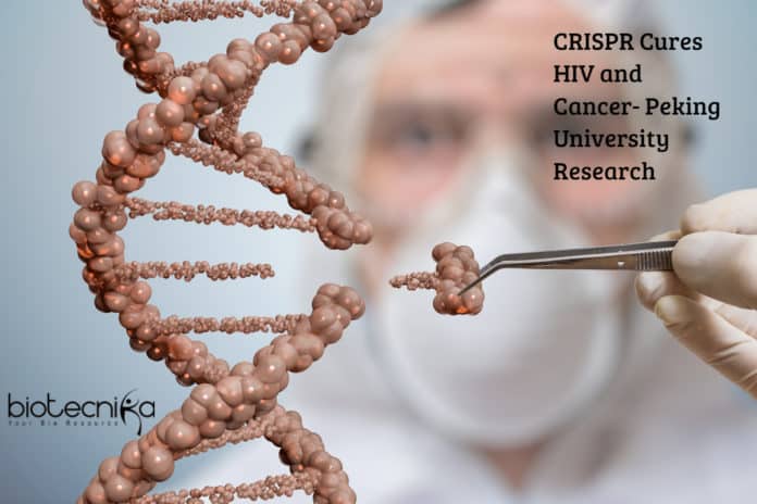 CRISPR Cures HIV and Cancer