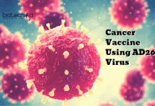 Discovery of AD26 Virus May Lead To Cancer Vaccines Cancer Vaccine Using AD26 Virus