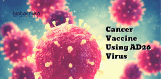 Cancer Vaccine Using AD26 Virus