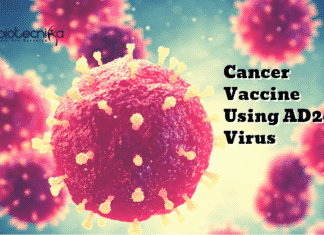 Discovery of AD26 Virus May Lead To Cancer Vaccines Cancer Vaccine Using AD26 Virus