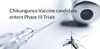 Themis's vaccine for Chikungunya