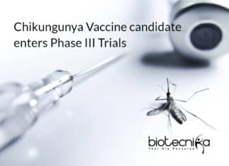 Thermis Chikungunya Vaccine Enters Phase III Trials- Major Breakthrough Themis's vaccine for Chikungunya