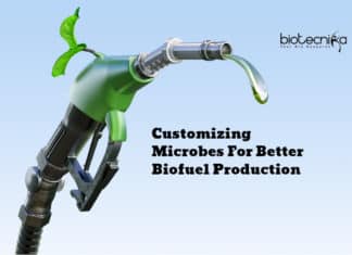 Scientist Develop Method To Customize Microbes For Better Biofuel Production Customize Microbes For Better Biofuel Production
