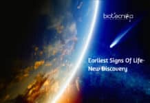 Earliest Signs Of Life- Scientists Discover Breakthrough Evidence Earliest Signs Of Life