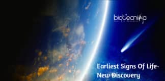 Earliest Signs Of Life