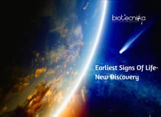 Earliest Signs Of Life- Scientists Discover Breakthrough Evidence Earliest Signs Of Life