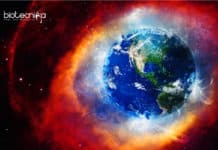 Do Animals Control Earth’s Oxygen Level? Scientists Answers Earth's Oxygen Control by Animals