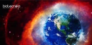 Earth's Oxygen Control by Animals