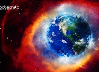 Do Animals Control Earth’s Oxygen Level? Scientists Answers Earth's Oxygen Control by Animals