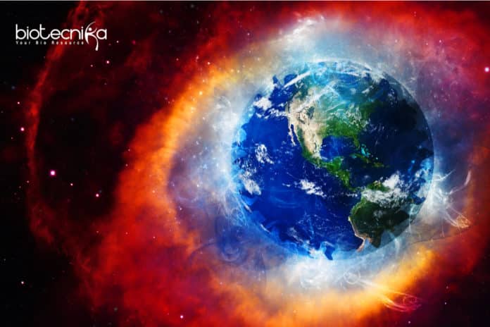 Earth's Oxygen Control by Animals