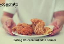 Eating Chicken linked to Cancer