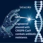 Genetically engineered plasmid with CRISPR-Cas9 to remove Antibiotic Resistance Gene