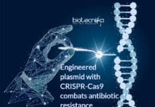 Genetically Engineered Plasmid with CRISPR-Cas9 to Eliminate Antibiotic Resistance Gene Genetically engineered plasmid with CRISPR-Cas9 to remove Antibiotic Resistance Gene