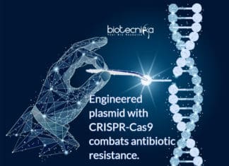Genetically engineered plasmid with CRISPR-Cas9 to remove Antibiotic Resistance Gene
