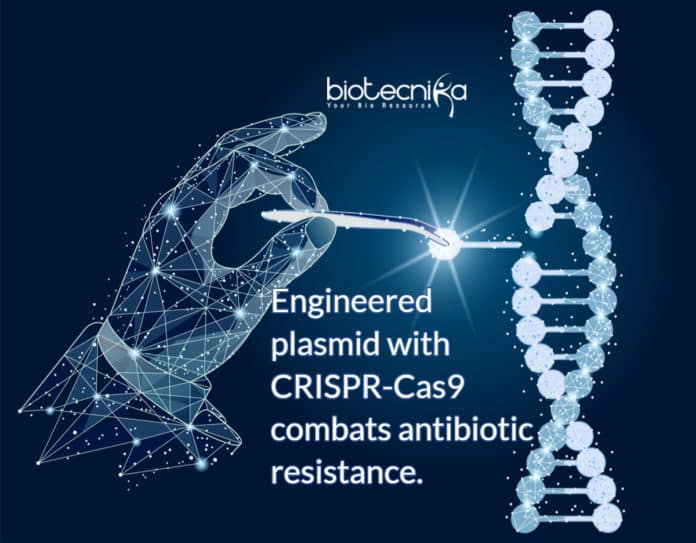 Genetically engineered plasmid with CRISPR-Cas9 to remove Antibiotic Resistance Gene