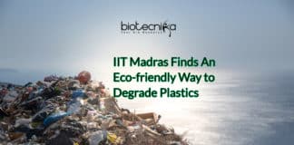 an eco-friendly way to degrade plastics