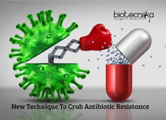 Researchers Discovers New Strategy To Kill Pathogens Resistant To Antibiotics Killing Antibiotic-Resistant Pathogens