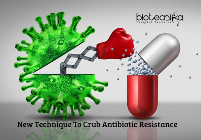 Killing Antibiotic-Resistant Pathogens