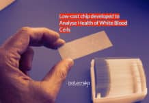 Low-Cost WBC Health Detection Chip Developed By NTU Scientists NTU Singapore scientists build chip to analyse health of white blood cells