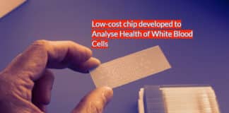 NTU Singapore scientists build chip to analyse health of white blood cells