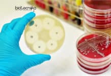 New Antibiotics from Dirt – Latest Method Designed By Scientists New Antibiotics from Dirt
