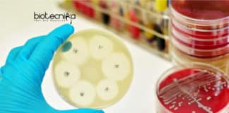 New Antibiotics from Dirt
